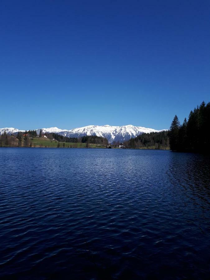Ferienbungalow Mountain View Wood Spital Am Pyhrn Exteriér fotografie